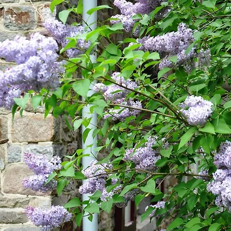 La Du Bois Dormant Spa