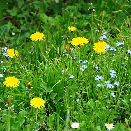 La Du Bois Dormant 3*