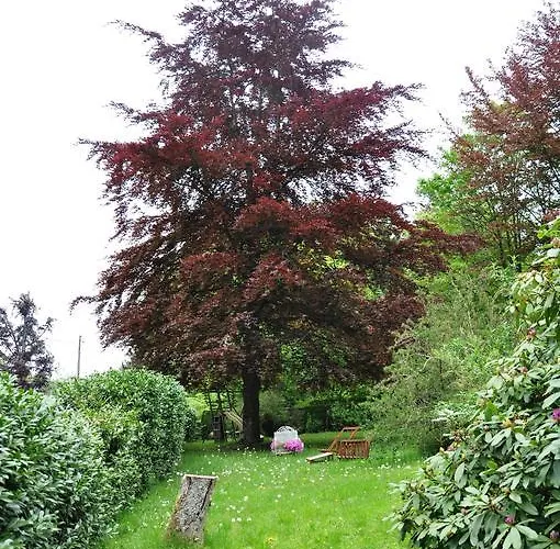 Bed & Breakfast La Du Bois Dormant Spa